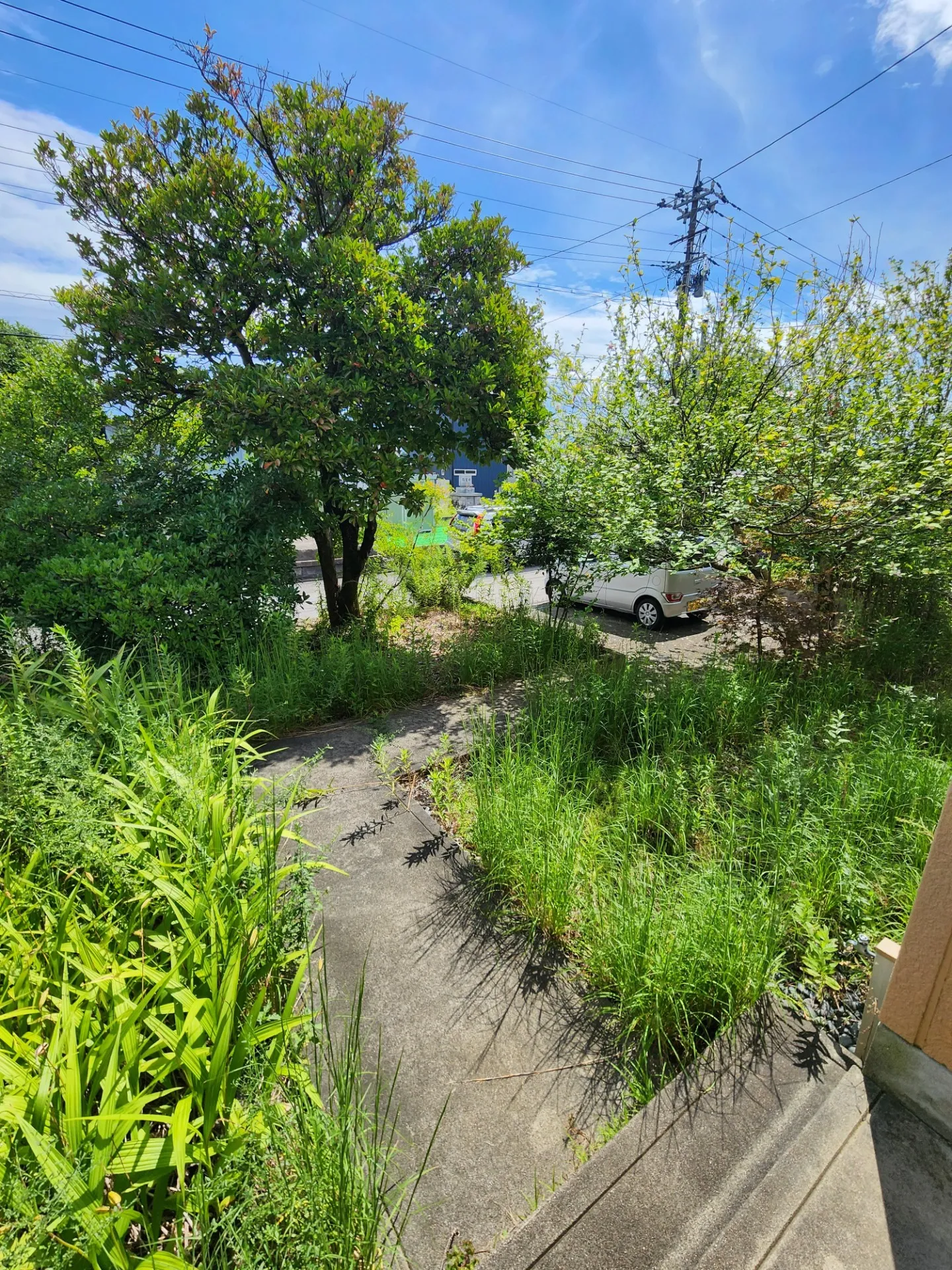 一戸建て　<br>富山市藤の木台1丁目の中古戸建て